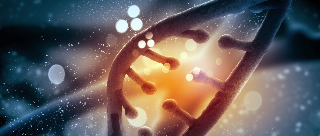 Polymerase Chain Reaction (PCR)